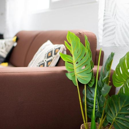 Charmant et confortable proche du quartier d'affaire Périgueux Extérieur photo
